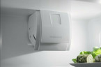 Встраиваемый холодильник Electrolux RNT 6TF18 S1